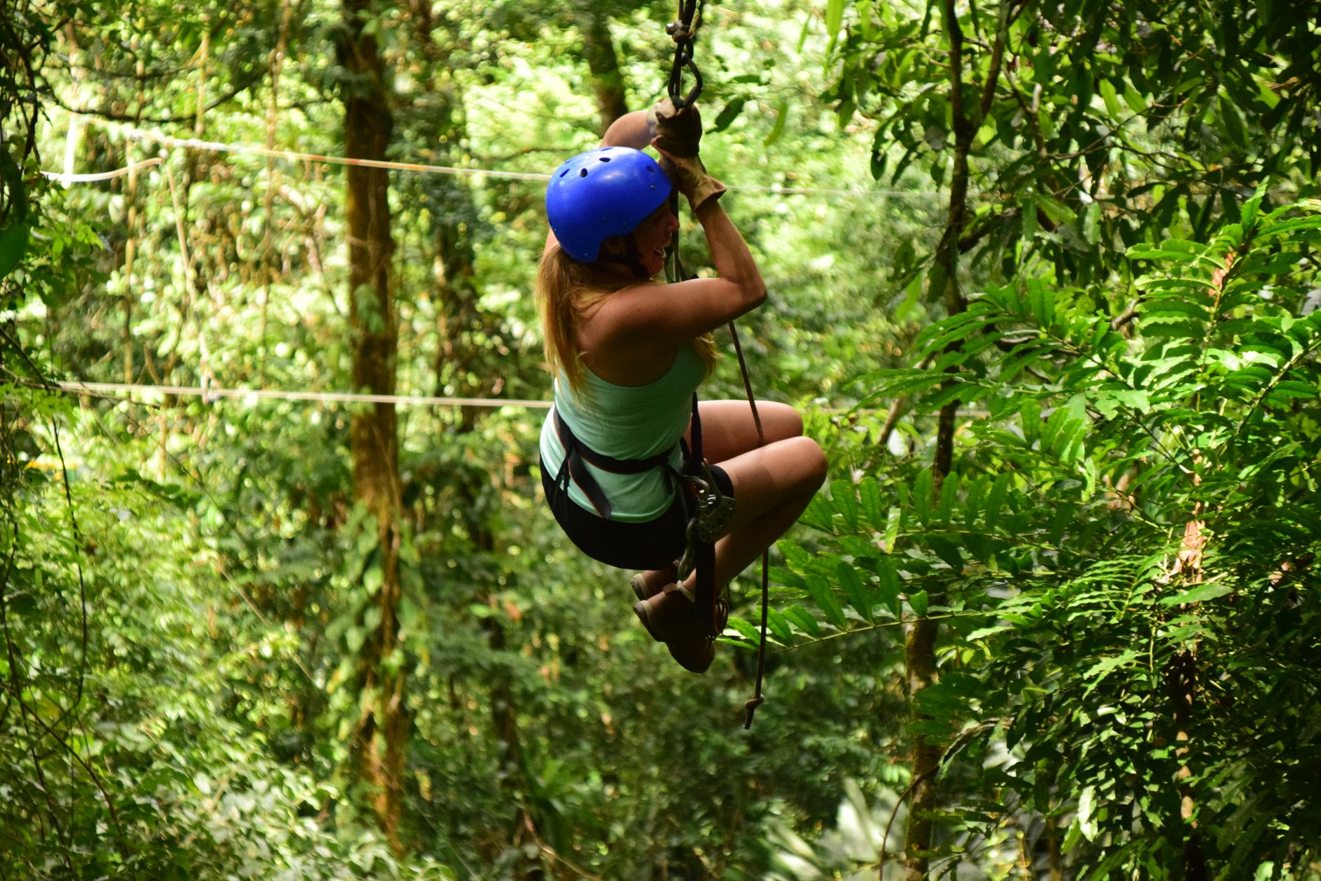 Zipline-Flug über das dichte Blätterdach der Kalksteinschlucht bei Harrison's Cave